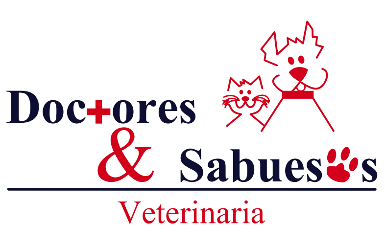 logo doctores