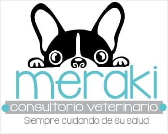 logo meraki
